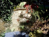 bauernherbst bertahof