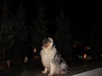 IMG 4392