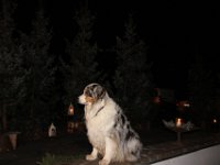 IMG 4393