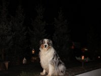 IMG 4394